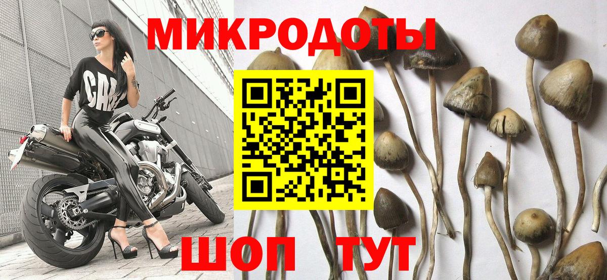 Мелеуз  Галлюциногенные грибы MAGIC MUSHROOMS  Вход с VPN 